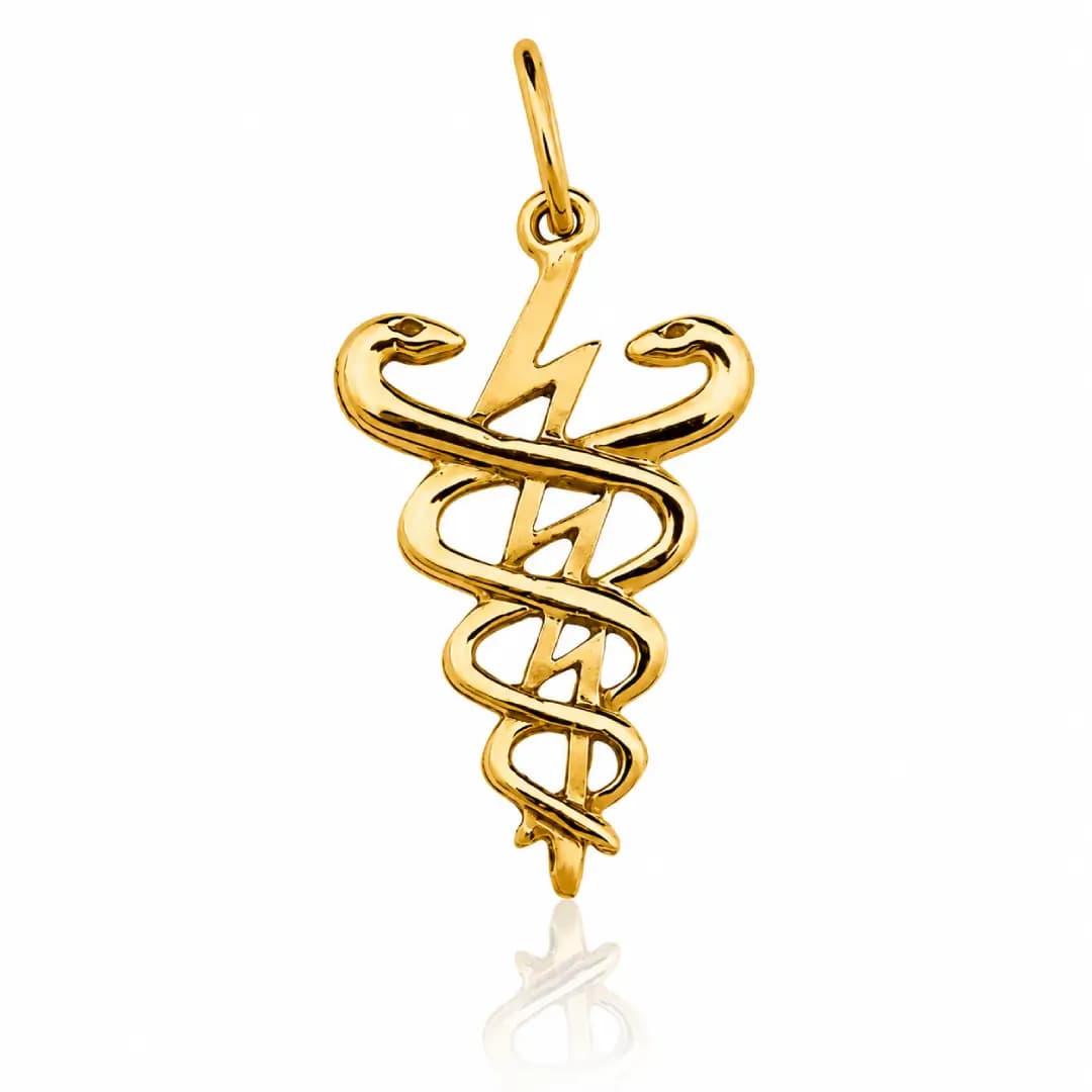 Pingente de Formatura Fisioterapia em Ouro Maciço 10K e 18K – Modelo CT30