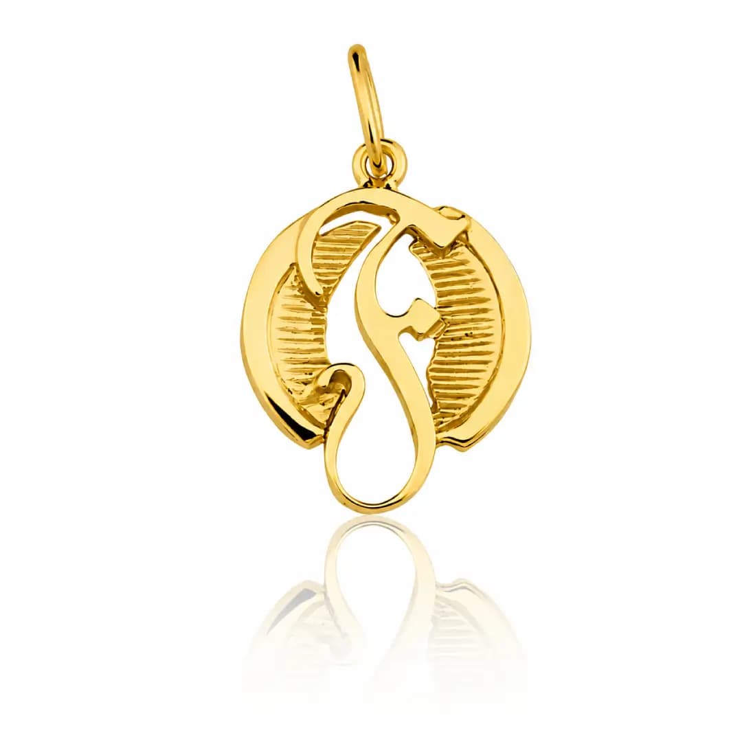 Pingente de formatura Ouro maciço CT38 (FONOAUDIOLOGIA)