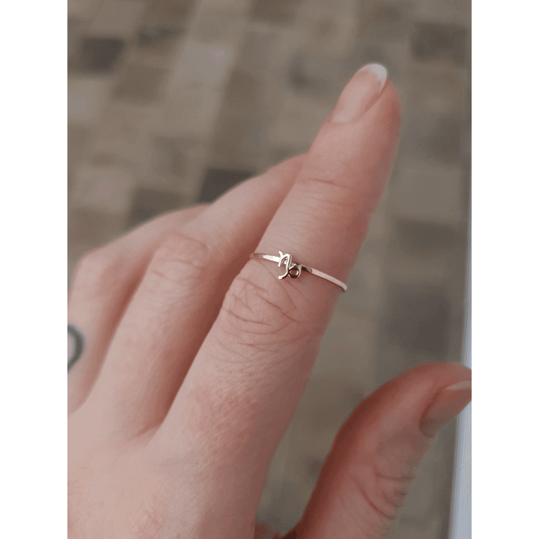 Anel Signo de Capricórnio em Ouro Maciço 10K e 18K – Modelo CS524 anel capricornio img