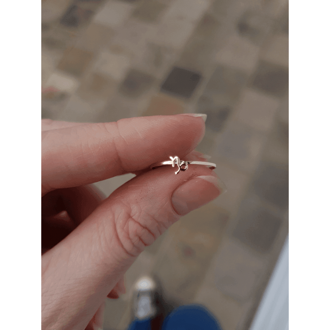Anel Signo de Capricórnio em Ouro Maciço 10K e 18K – Modelo CS524 anel capricornio img
