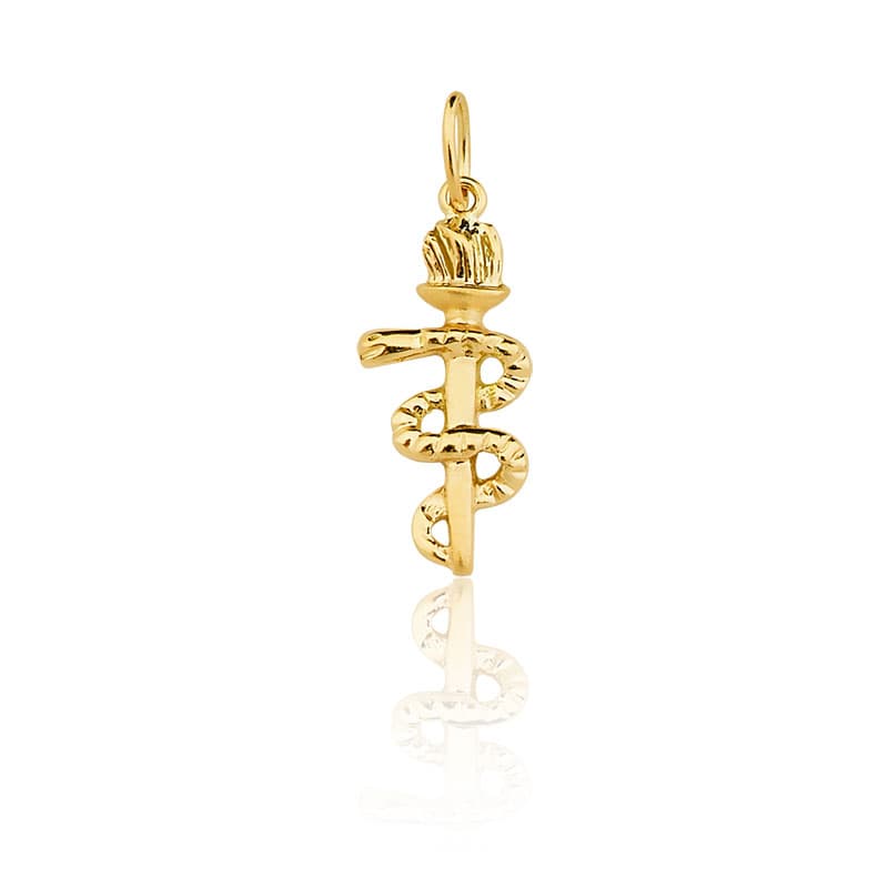 Pingente de Formatura Odontologia em Ouro Maciço 10K e 18K – Modelo CT14