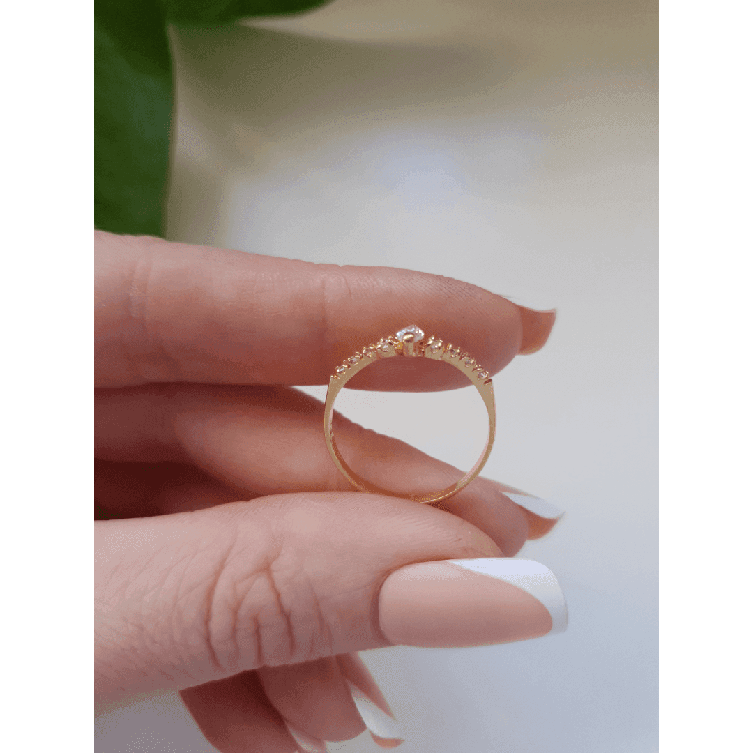 Anel em Ouro Maciço 10K e 18K – Modelo C75 - imagem 4