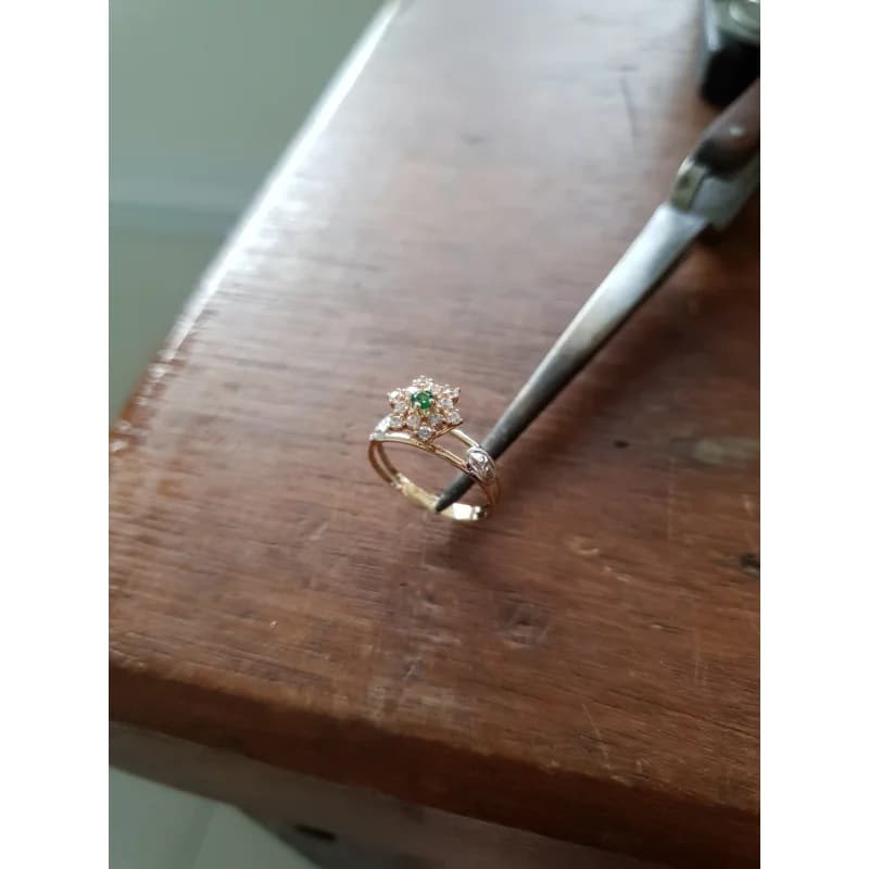 Anel de Formatura Fisioterapia em Ouro Maciço 10K e 18K – Modelo C15 - imagem 5