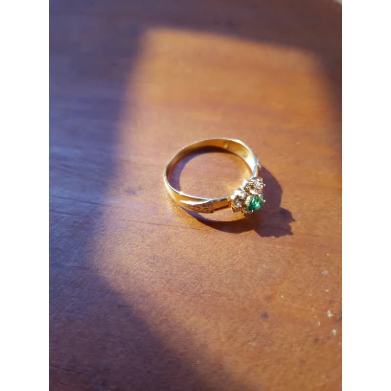 Anel de Formatura Veterinária em Ouro Maciço 10K e 18K – Modelo C171 - imagem 3