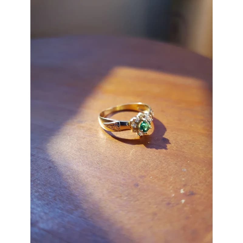 Anel de Formatura Veterinária em Ouro Maciço 10K e 18K – Modelo C171 - imagem 6