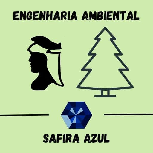 Engenharia ambiental