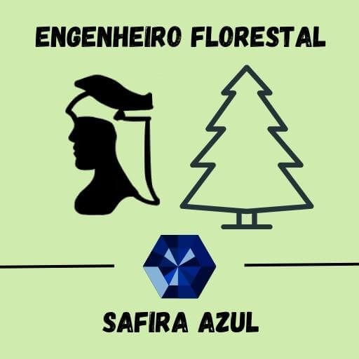 Engenheiro florestal